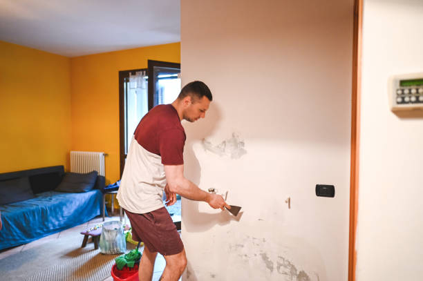 Best Same-Day Mold Removal  in Farwell, TX
